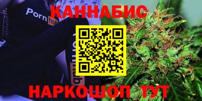 стаф Гусь-Хрустальный