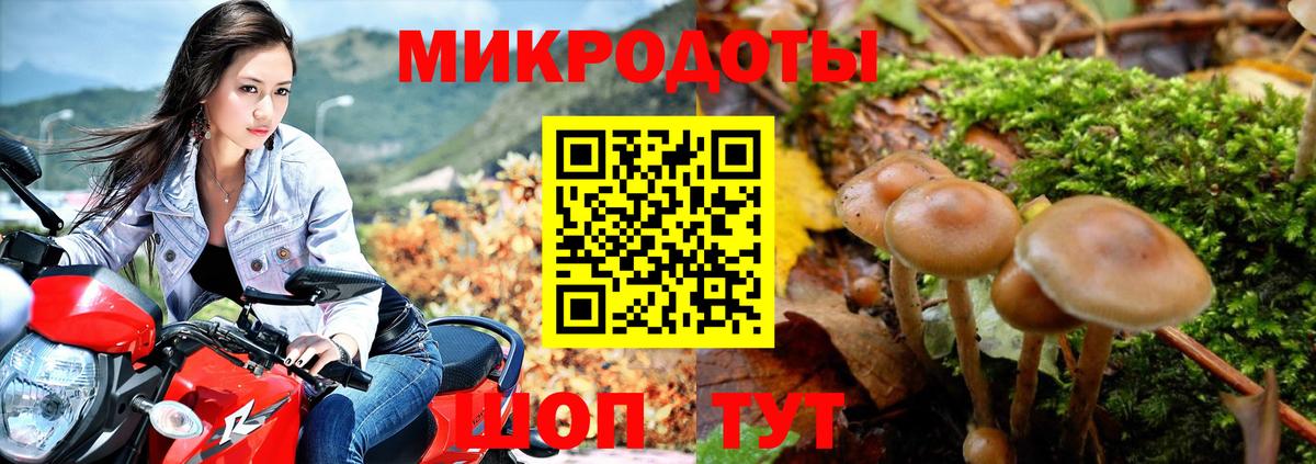 Псилоцибиновые грибы мухоморы Костомукша